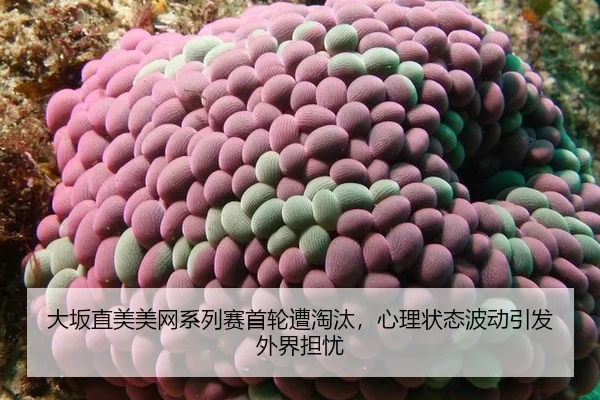 da-ban-zhi-mei-mei-wang-xi-lie-sai-shou-lun-zao-tao-tai-xin-li-zhuang-tai-bo-dong-yin-fa-wai-jie-dan-you-3-179.jpg